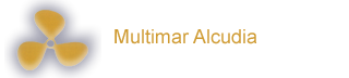 Multimar Alcudia Axopar Dealer